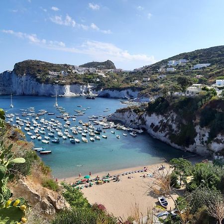 Ponza Holiday Homes - Cala Feola Exterior foto